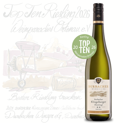 2025 Durbacher Klingelberger (Riesling) - 2 STERN - trocken - KLASSIK