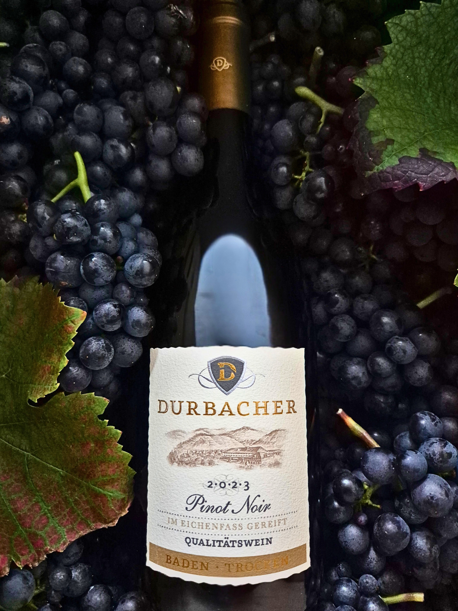 Flasche Pinot Noir liegt in roten Trauben