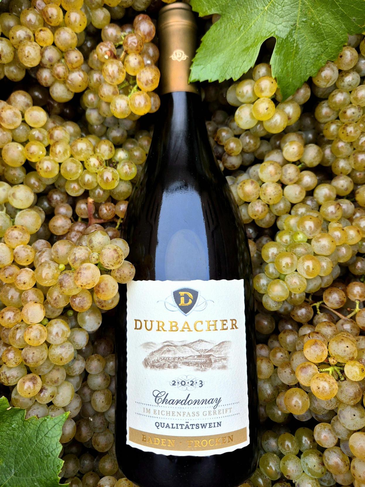 Eine Flasche Chardonnay auf Chardonnay-Trauben