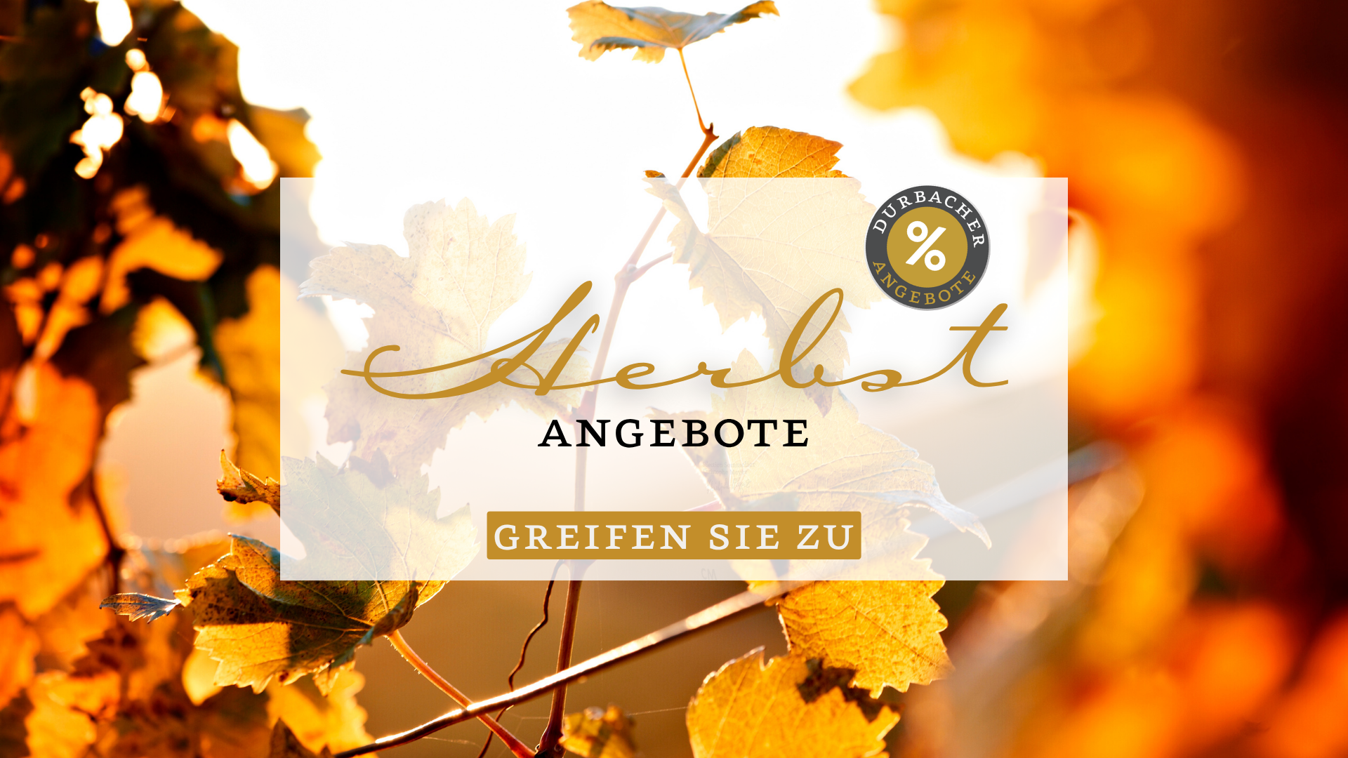 Banner Herbst Angebote - Reben im Herbst